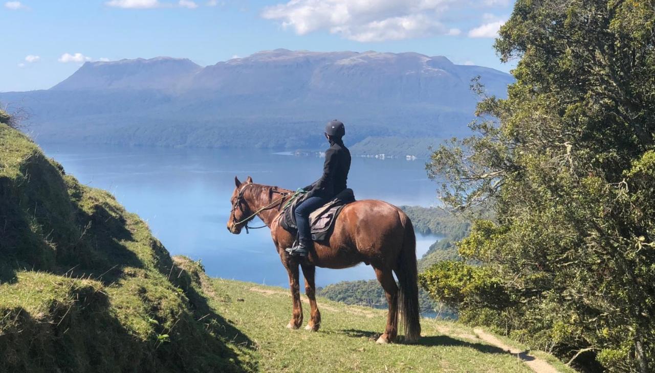 Вілла Tironui Lake Tarawera Екстер'єр фото